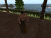 Snapshot_011