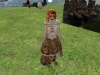 Snapshot_019